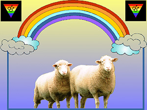gaydar-sheep